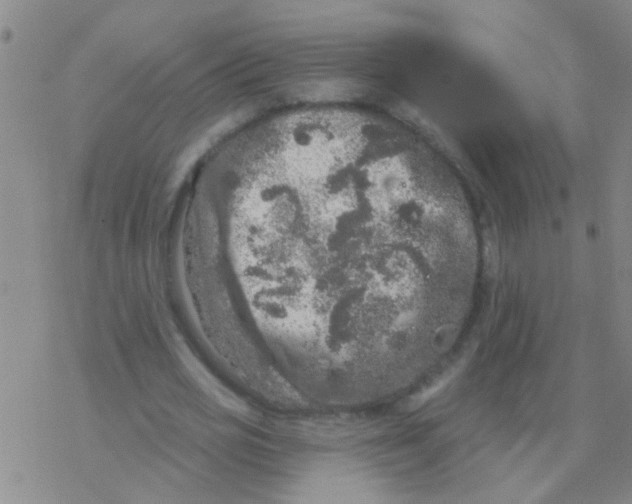 X0000076300725200610271913