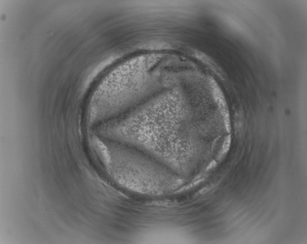 X0000076300727200610271913