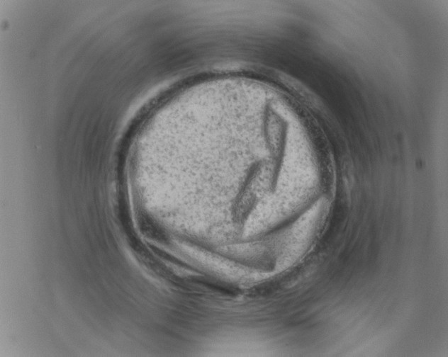 X0000076300728200610271913