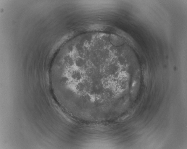 X0000076300729200610271913