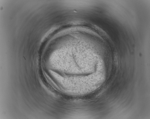 X0000076300730200610271913