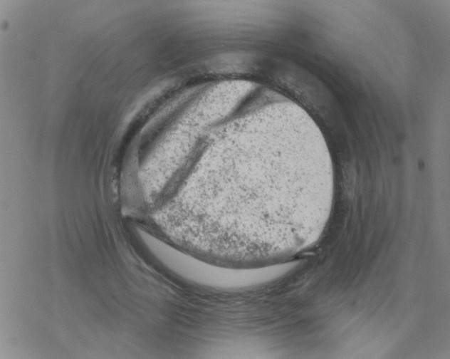 X0000076300731200610271913