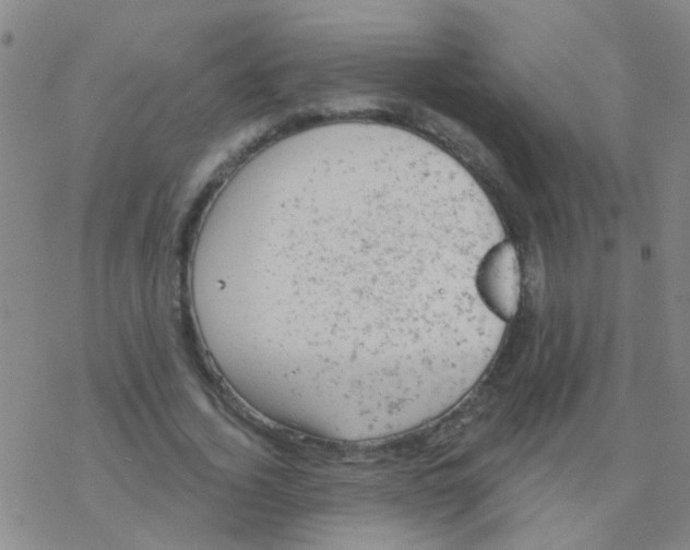 X0000076300732200610271913