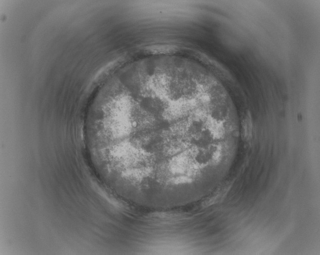 X0000076300733200610271913