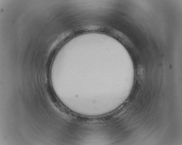 X0000076300734200610271913