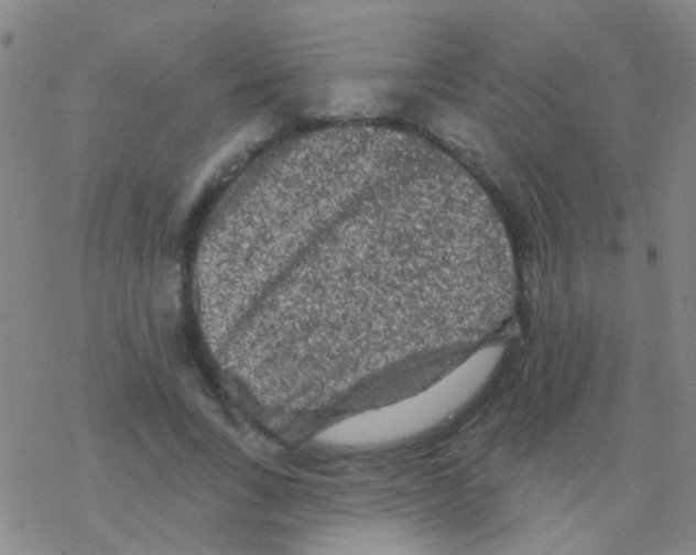 X0000076300735200610271913