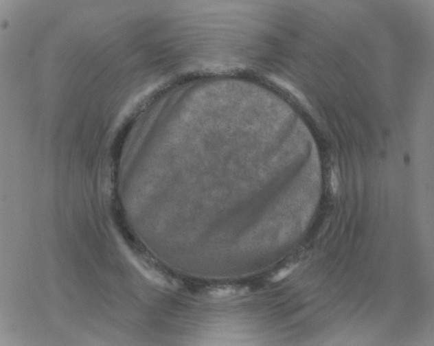 X0000076300736200610271913