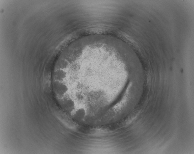 X0000076300737200610271913