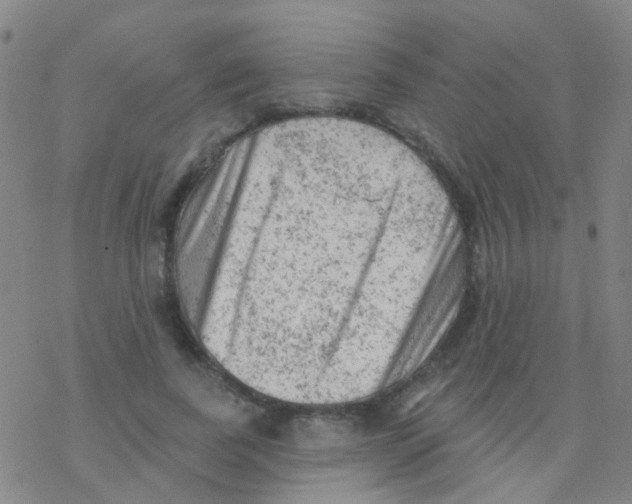 X0000076300739200610271914