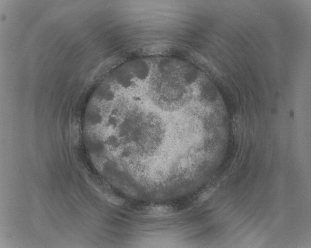 X0000076300741200610271914