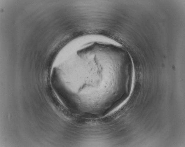 X0000076300742200610271914