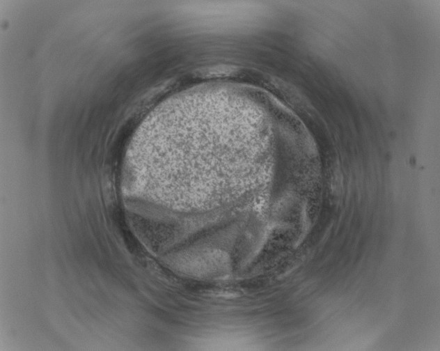 X0000076300743200610271914