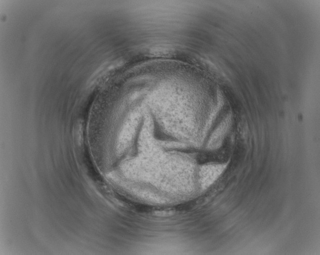 X0000076300744200610271914