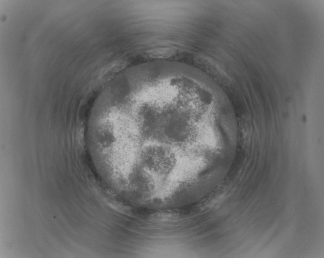 X0000076300745200610271914