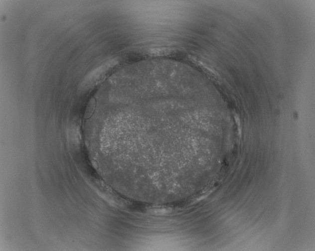 X0000076300746200610271914