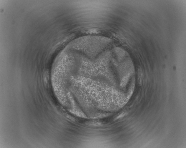 X0000076300747200610271914