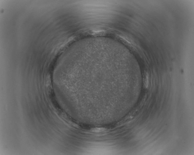 X0000076300748200610271914