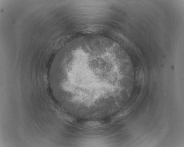 X0000076300749200610271914