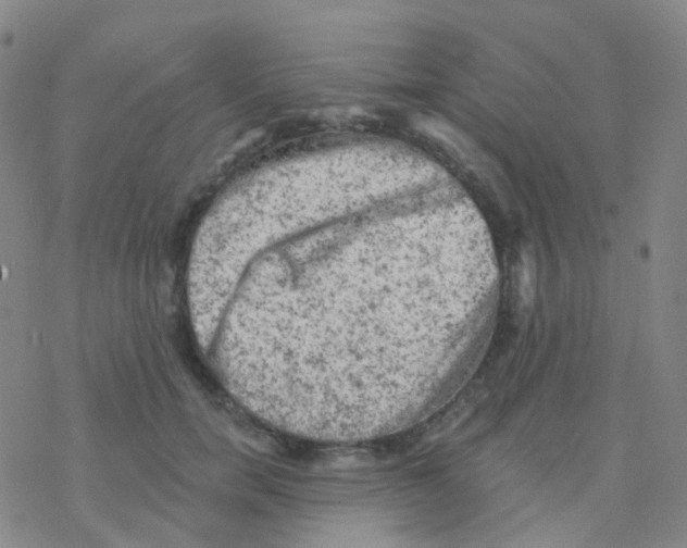 X0000076300750200610271914