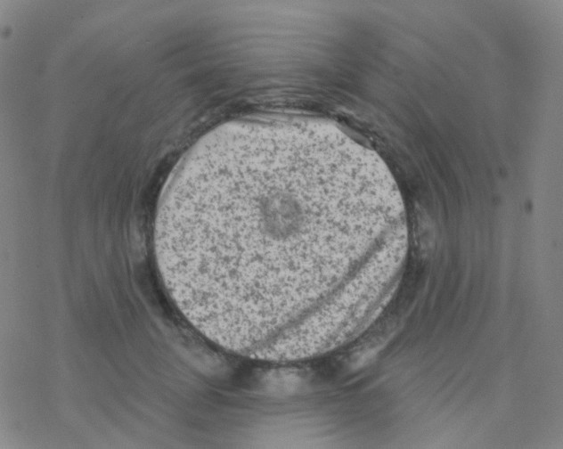 X0000076300751200610271914