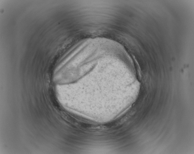 X0000076300752200610271914