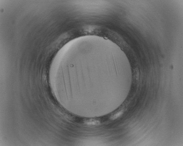 X0000076300754200610271914