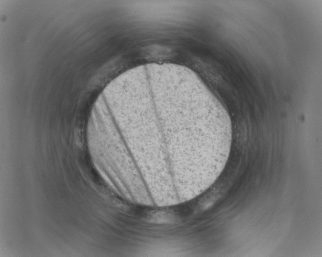 X0000076300755200610271914