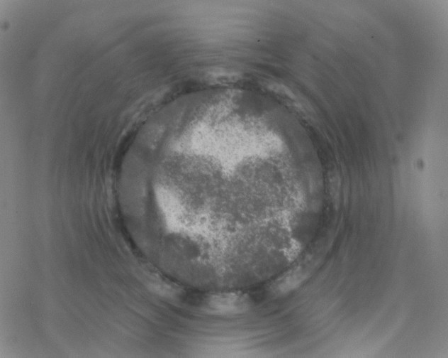 X0000076300757200610271914