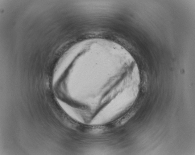 X0000076300758200610271914