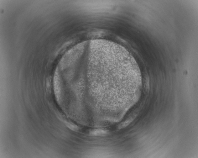 X0000076300759200610271914