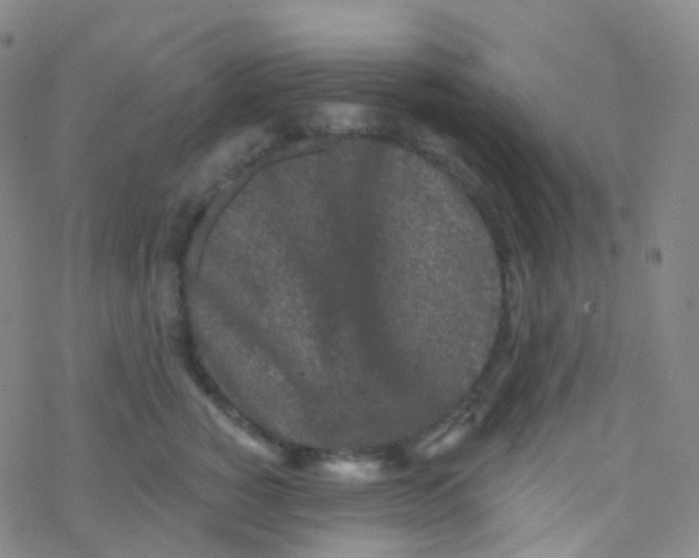 X0000076300760200610271914