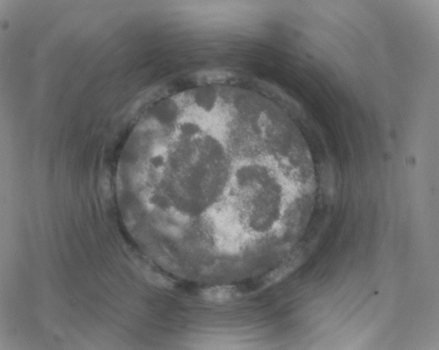 X0000076300761200610271914