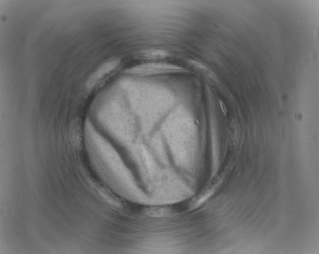 X0000076300762200610271914