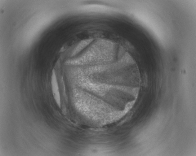 X0000076300763200610271914