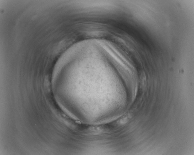 X0000076300764200610271914