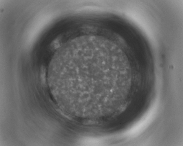 X0000076300765200610271914