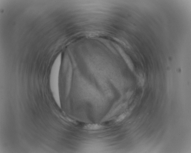 X0000076300766200610271914