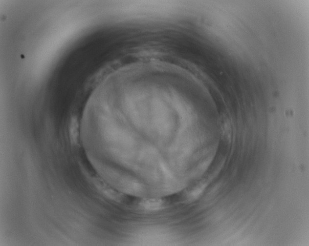 X0000076300767200610271914