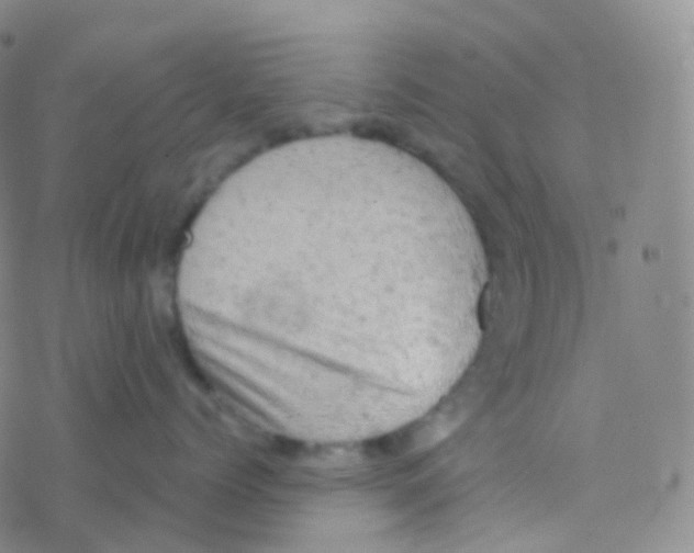 X0000076300768200610271914