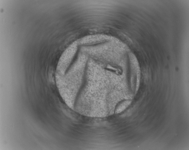 X0000076300770200610271913