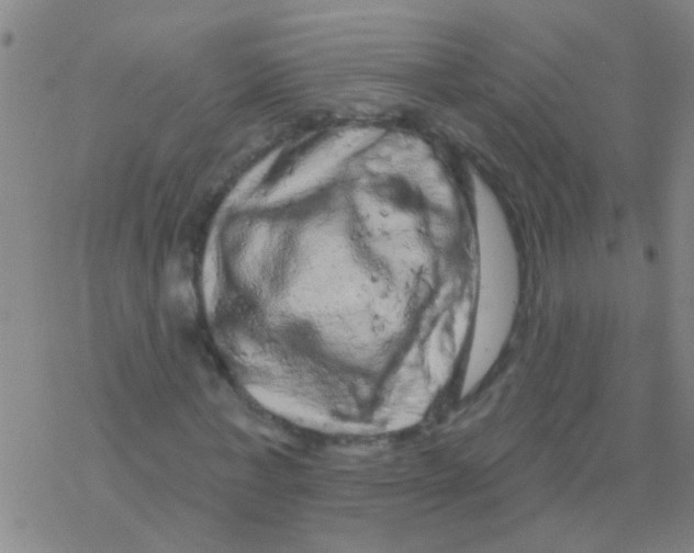 X0000076300771200610271913