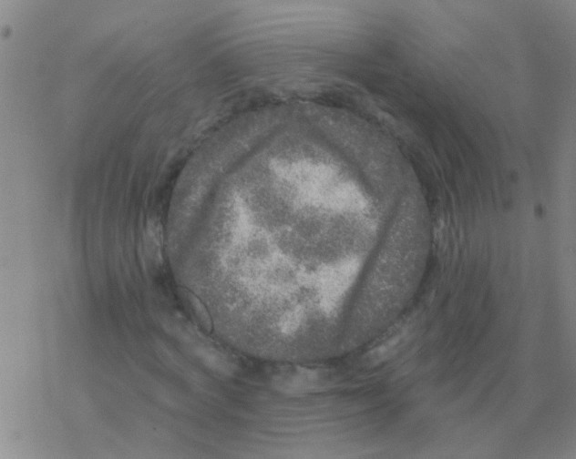 X0000076300772200610271913