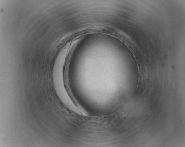 X0000076300773200610271913