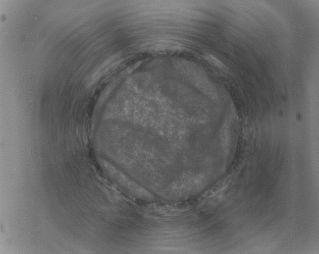 X0000076300774200610271913