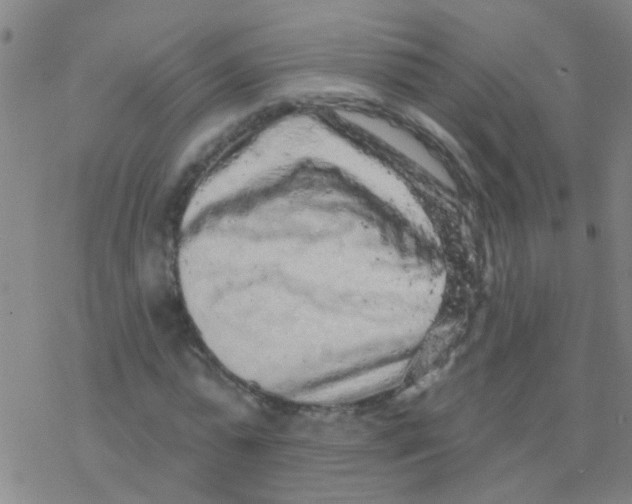 X0000076300775200610271913