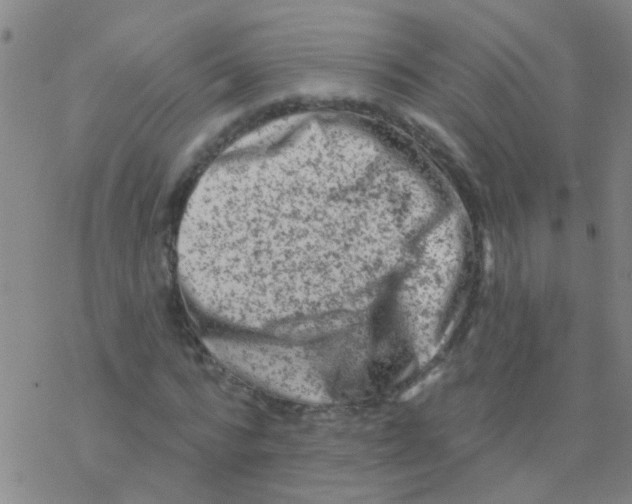 X0000076300776200610271913