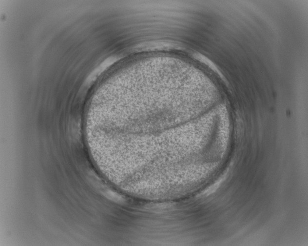 X0000076300778200610271913