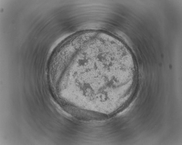 X0000076300779200610271913