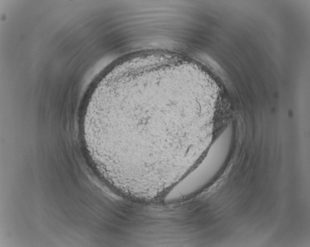 X0000076300780200610271913