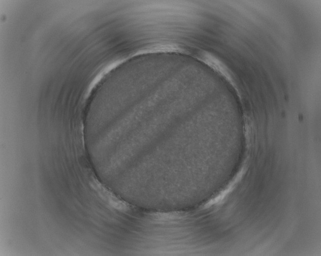 X0000076300781200610271913